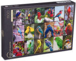 Grafika Puzzle Grafika din 1500 de piese - Cele mai frumoase păsări din lume (30101) Puzzle