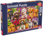 Schmidt Spiele Puzzle Schmidt din 500 de piese - Puppies on The Shelf (58973) Puzzle