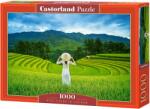 Castorland Puzzle Castorland din 1000 de piese - Câmpuri de orez în Vietnam (C-105052-2) Puzzle