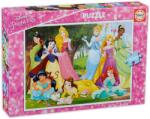 Educa Puzzle Educa din 500 de piese - Disney Princes (EDU17723) Puzzle