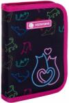 Astra Penar școlar Astra - Cat love, 1 fermoar (AS503023024) Penar