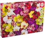 Educa Puzzle Educa din 1000 de piese - Orhidee (EDU19558) Puzzle