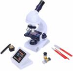 Raya Toys Set pentru copii Raya Toys - Microscop (502119005)