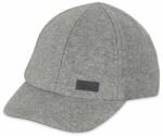 Sterntaler Şapcă de baseball cu protecţie UV 50+ Sterntaler - Cu o bandă elastică, 53 cm, 2-4 ani, gri (1512302-566)
