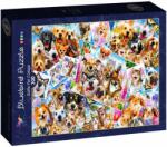 Bluebird Puzzle Puzzle Bluebird din 300 de piese - Colaj cu animale (90086) Puzzle