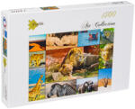 Grafika Puzzle Grafika din 1500 de piese - Wildlife (30026) Puzzle