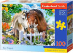 Castorland Puzzle Castorland din 100 de piese - Cei mai buni prieteni (B-111121) Puzzle
