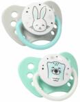 Babyono Suzete din silicon Babyono Natural Nursing - 0-3 luni, 2 bucăți (5901435409855)