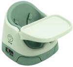 Mamas & Papas Scaun înalt Mamas & Papas 3 în 1 - Baby Bug, Eucaliptus (9868L7600) Scaun de masa bebelusi, inaltator
