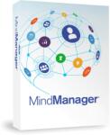 Mindjet MindManager 21 pentru Windows 1 an de abonament descărcare (LCMMSUB1MLPC1)