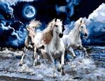 NORIMPEX - Puzzle Pictura cu diamant: Trio de cai 30x40cm - 1 - 39 piese