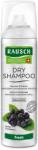 Rausch Șampon uscat - Rausch Dry Shampoo Fresh 150 ml