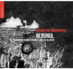 MANUSCRIS Audiobook Nebunul - Demostene Andronescu, editura Manuscris