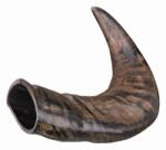 TRIXIE Buffalo Chewing Horn Bivalyszarv medium (27742)