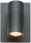 Lucide Bran antracit LED kültéri fali lámpa (LUC-27817/07/29) LED 1 izzós IP54 (27817/07/29)