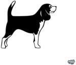 matrica. shop Beagle matrica 5