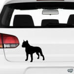 matrica. shop Pitbull matrica