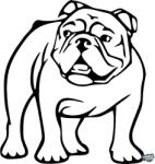 matrica. shop Bulldog matrica 5