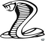 matrica. shop Cobra matrica