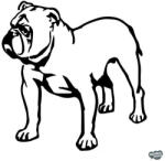 matrica. shop Angol bulldog matrica 15