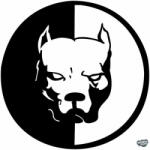 matrica. shop PitBul agresszív fej matrica