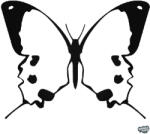 matrica. shop Pillangó matrica 8