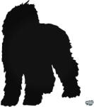 matrica. shop Labradoodle kutya matrica