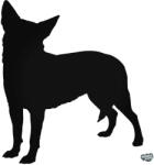 matrica. shop Kutyus "1" matrica