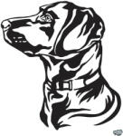 matrica. shop Labrador matrica 16