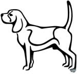 matrica. shop Beagle matrica 13