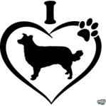 matrica. shop Border collie matrica 7