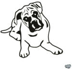 matrica. shop Boxer matrica 5