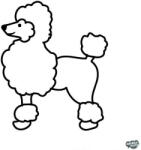 matrica. shop Uszkár matrica 1