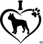 matrica. shop Boston terrier matrica 10