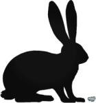 matrica. shop Cukika nyuszika matrica