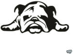 matrica. shop Angol bulldog matrica 12