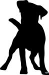 matrica. shop Jack Russel terrier matrica 10