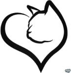 matrica. shop Macskaszív matrica