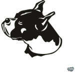 matrica. shop Boxer matrica 11