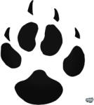 matrica. shop Macskatappancs matrica