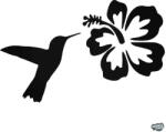 matrica. shop Kolibri hibiszkusz matrica