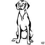 matrica. shop Vizsla matrica 3