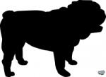 matrica. shop Angol bulldog matrica 3