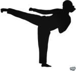 matrica. shop Karate lány matrica