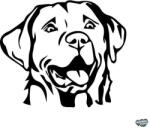 matrica. shop Labrador matrica 6