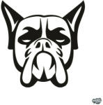 matrica. shop Boxer matrica 10