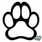 matrica. shop Border collie matrica 4