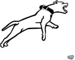matrica. shop Amstaff matrica 3