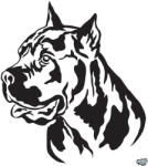 matrica. shop Cane corso matrica 9