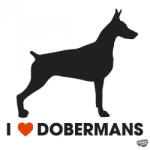 matrica. shop Dobermann matrica 17